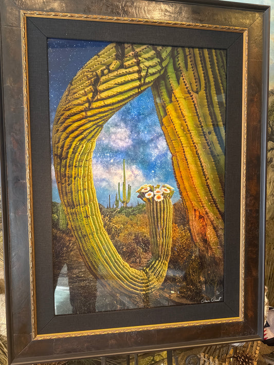 Dave Drost Photograph - ' Eye of The Saguaro '