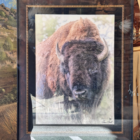 Dave Drost Photograph - 'The American Bison'