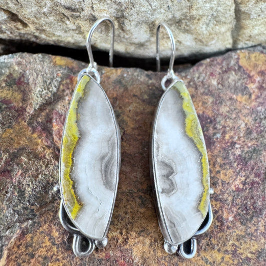 Bumble Bee Jasper Sterling Silver Earrings by Mary Tso