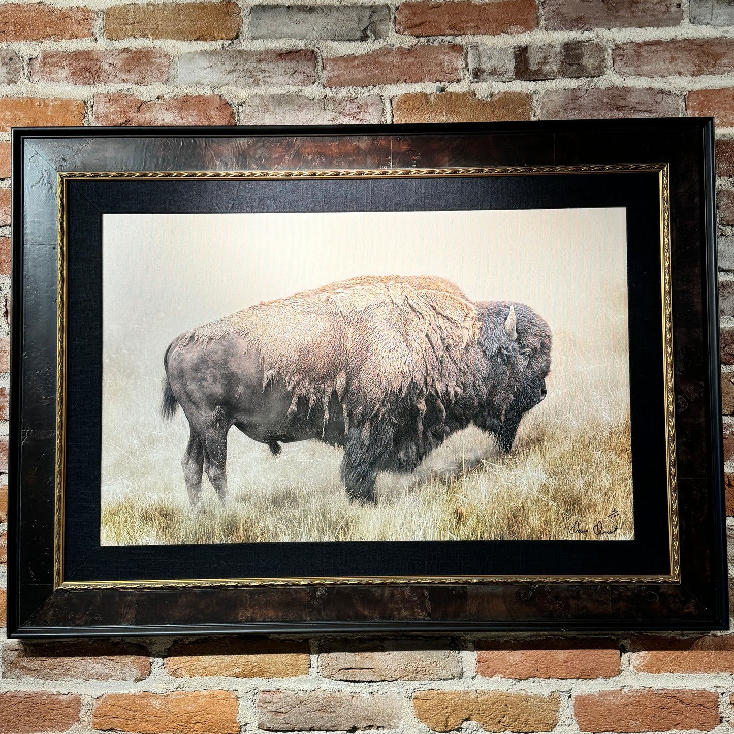 Dave Drost Photograph - 'The American Bison'