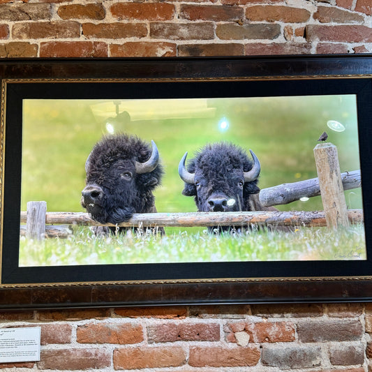 Dave Drost Photograph - 'Two Bros and a Bird'