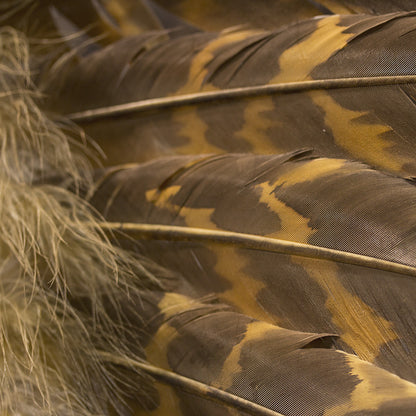 Halo Headdress by Russ Kruse